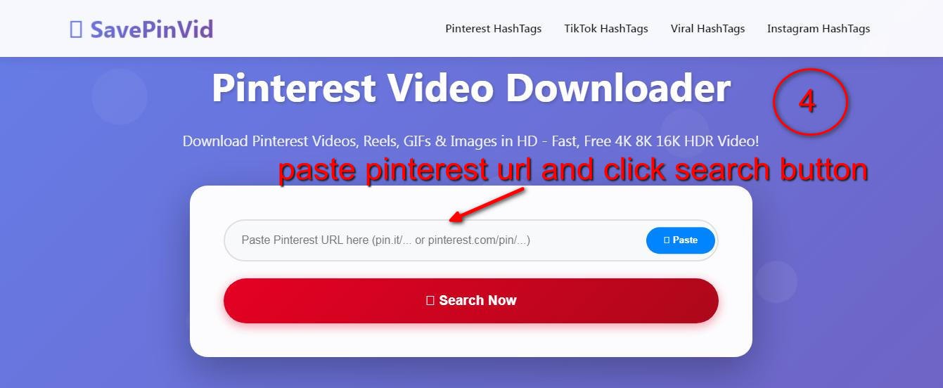 Pasting Pinterest URL in SavePinVid downloader